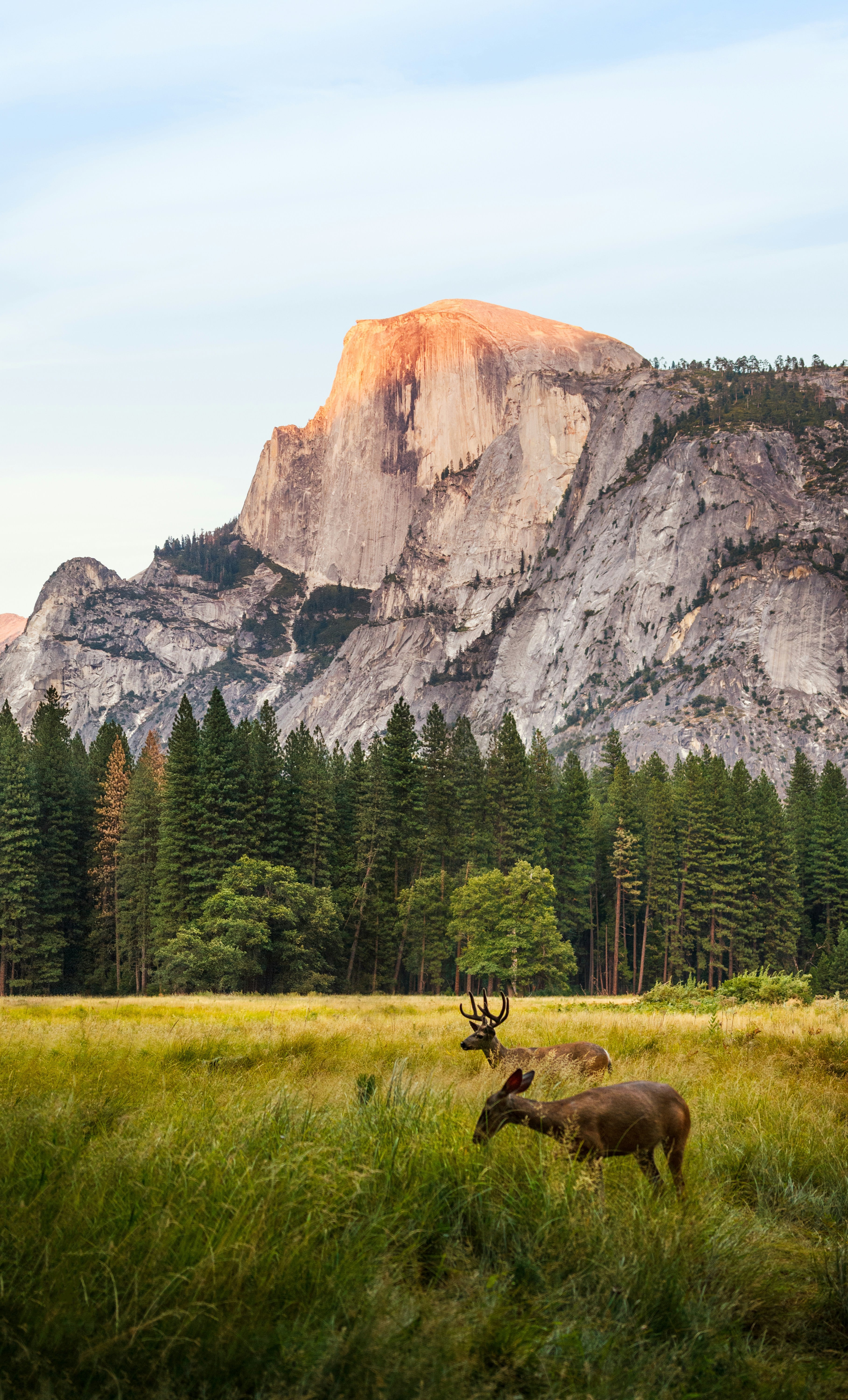 Discover Nature’s Beauty